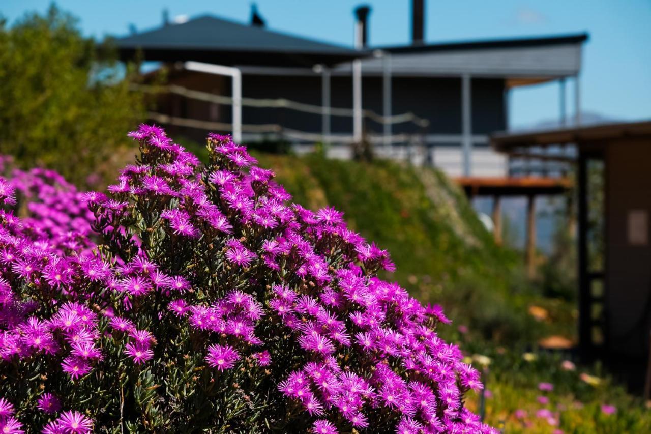Big Sky Cottages Wolseley Extérieur photo